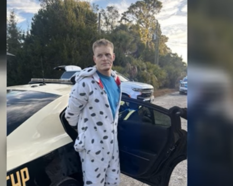 man in dalmatian onesie arrested - barking like a dog